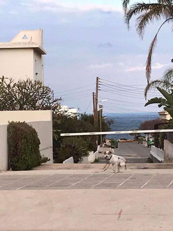 Sunny Holiday By Konnos Paralimni Zewnętrze zdjęcie